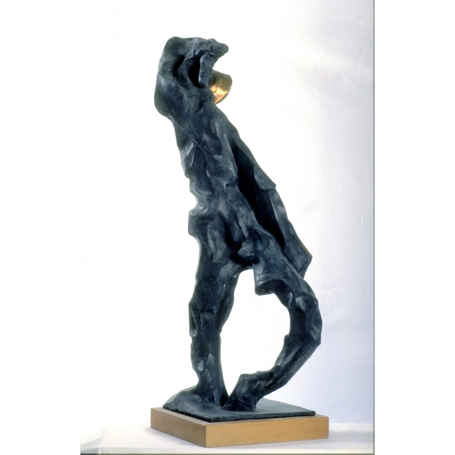 DAVID - sculpture en bronze de Roberto Tagliazucchi